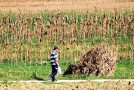 U ponedjeljak počinje isplata drugog dijela saniranja šteta od prirodne nepogodne – grada u općini Široki Brijeg