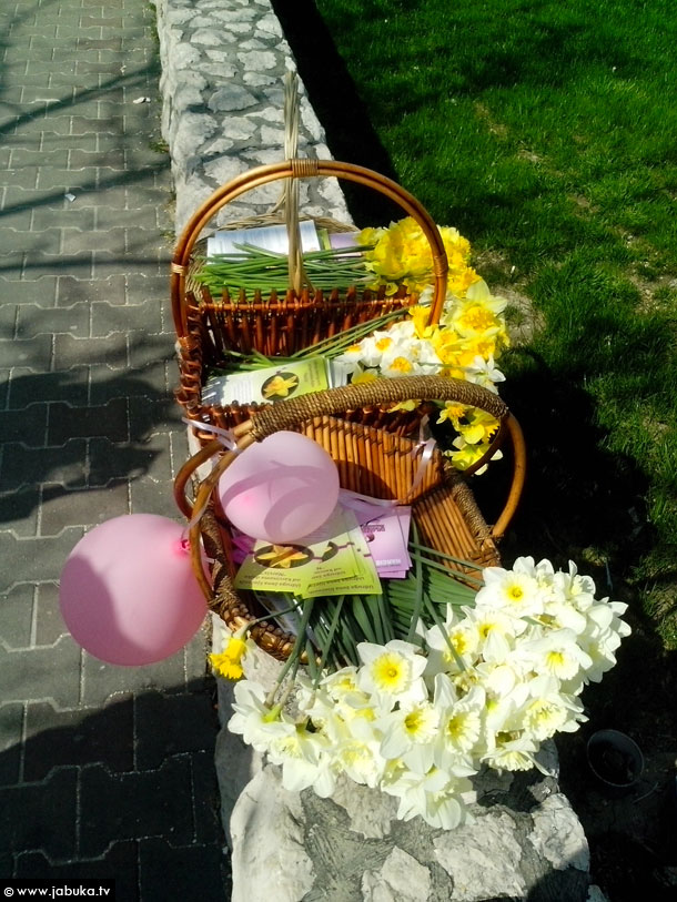 udruga_narcis3