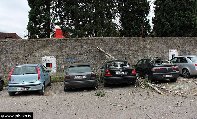 auta_stadion_stablo_1