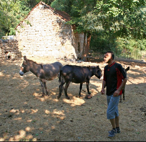 magarci3
