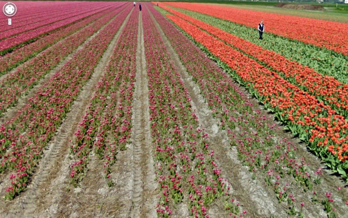fields