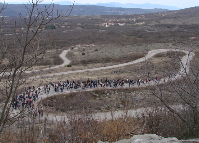 Slikovni rezultat za kočerin