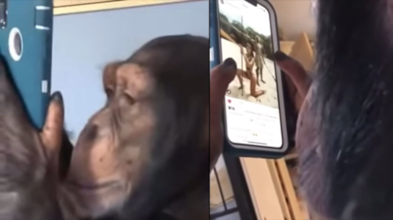 porno s velikim cockima