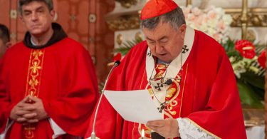 Kardinal Vinko Puljić
