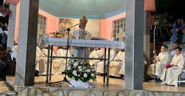Biskup Petar Palić