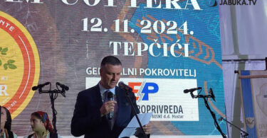 Džemil Hajrić