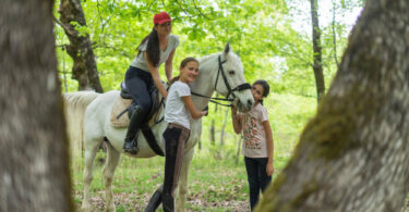 “Stina”: Donosimo priču o obiteljskom imanju koje je preraslo u pravi konjički raj “Stina”: Donosimo priču o obiteljskom imanju koje je preraslo u pravi konjički raj