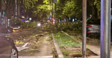 Snažna oluja poharala Mostar, srušeno više stabala, promet otežan Snažna oluja poharala Mostar, srušeno više stabala, promet otežan