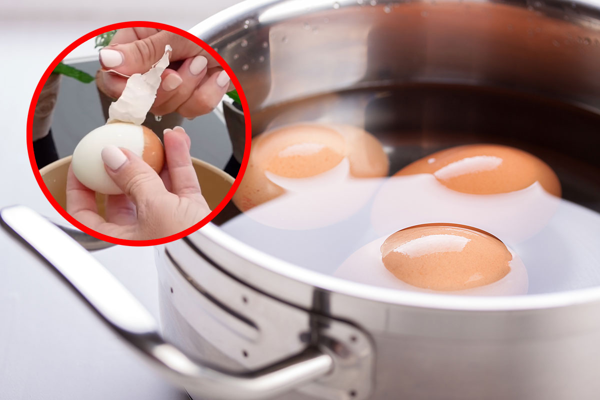 Kategoriya: Pornografik filmlar