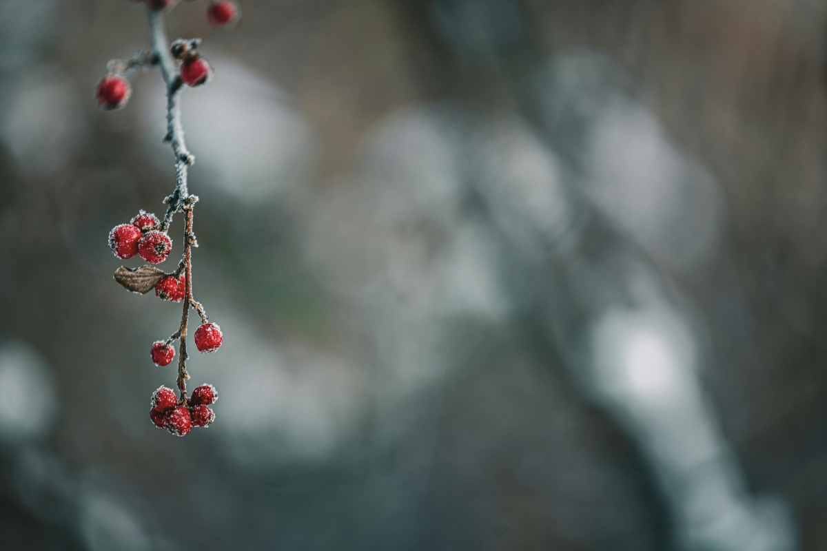 Promjena stiže poslijepodne: Evo kakvo nas vrijeme očekuje
