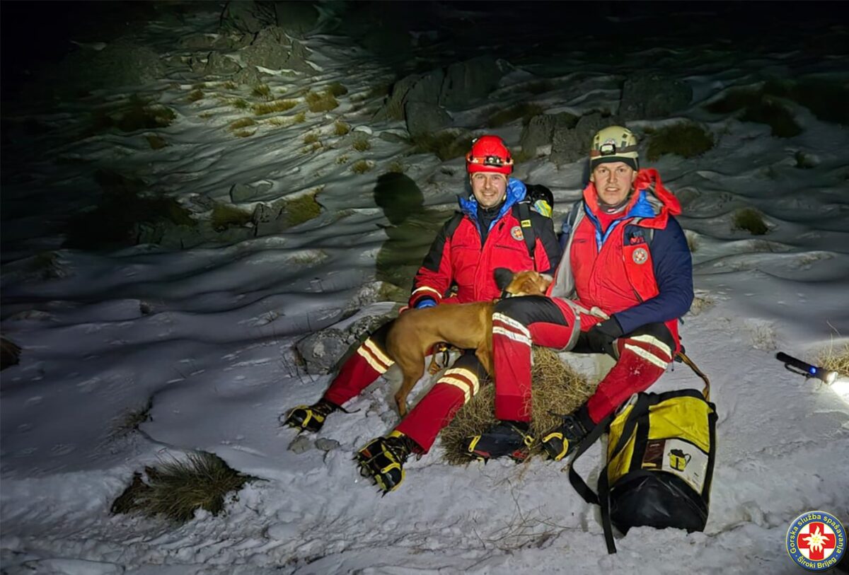 GSS Široki Brijeg uspješno spasio odlutalog psa nakon višesatne potrage