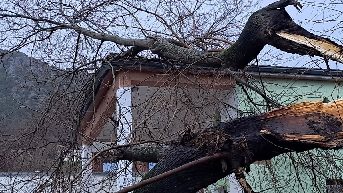 Ljubuški: Stablo se srušilo na objekt Islamske zajednice